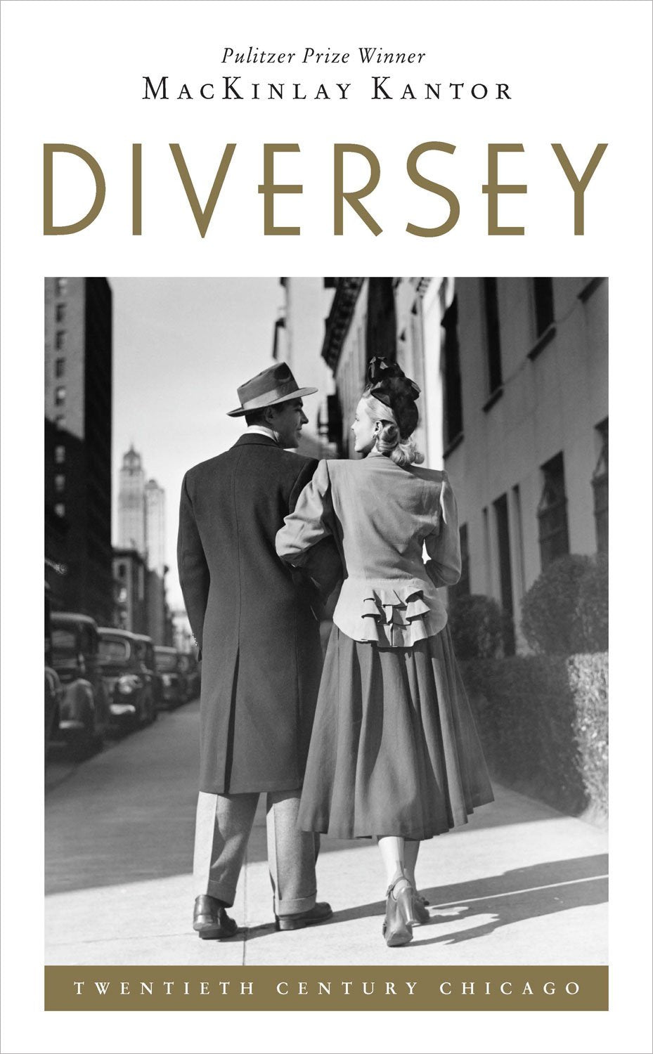 Diversey book cover