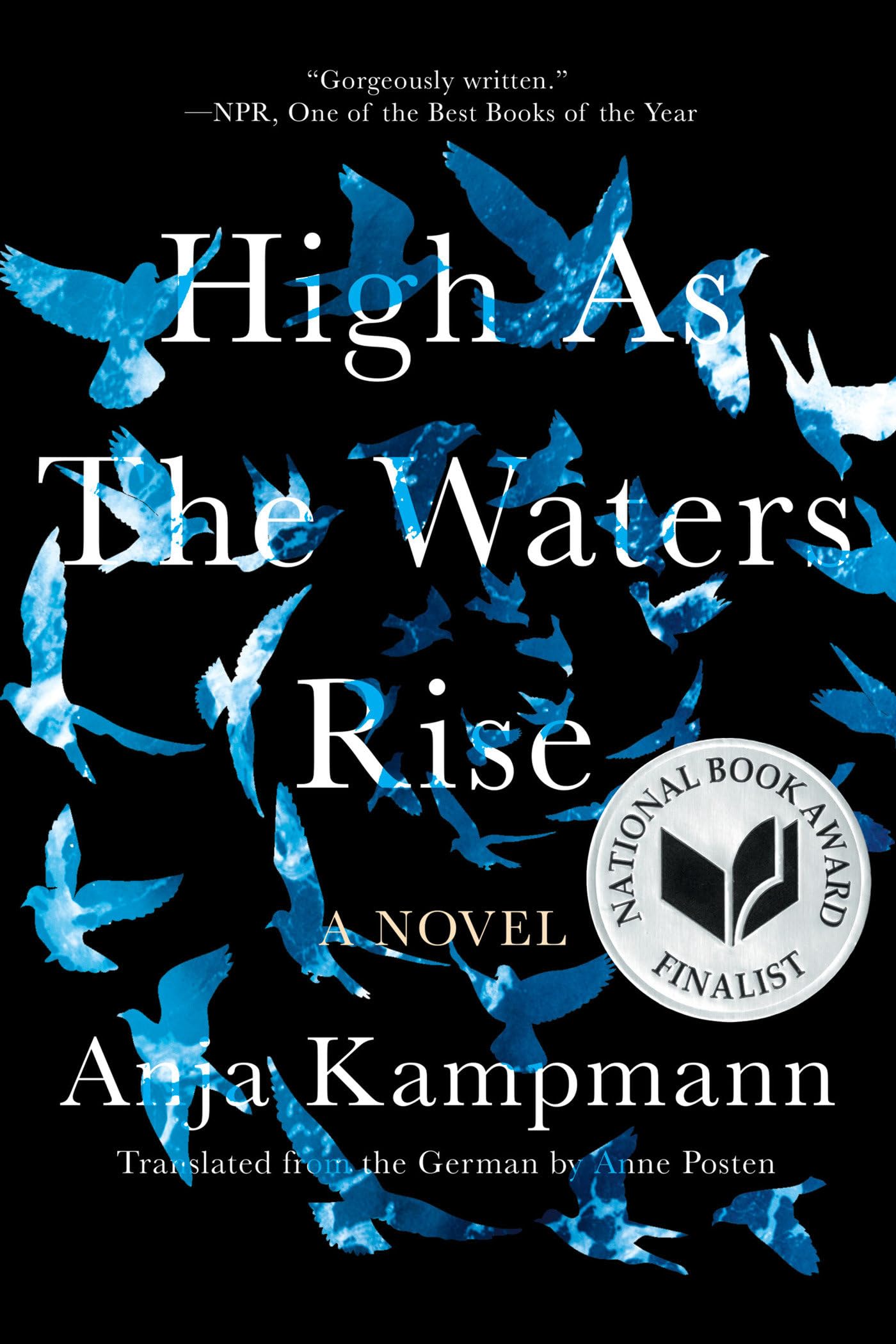High as the Waters Rise book cover