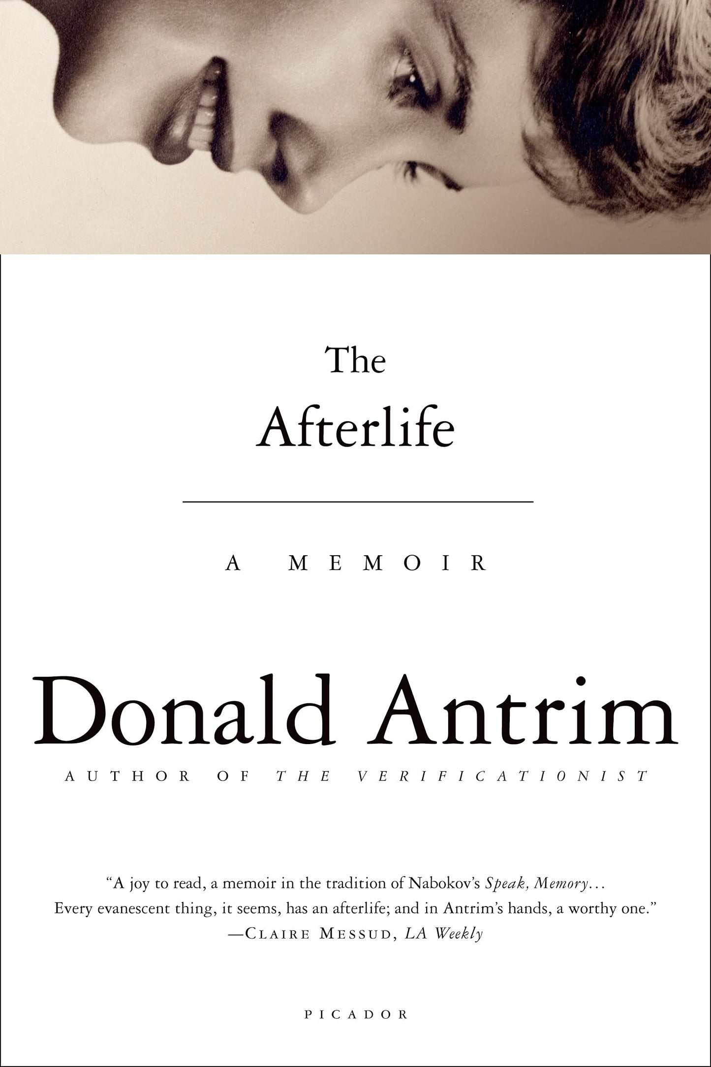The Afterlife book cover
