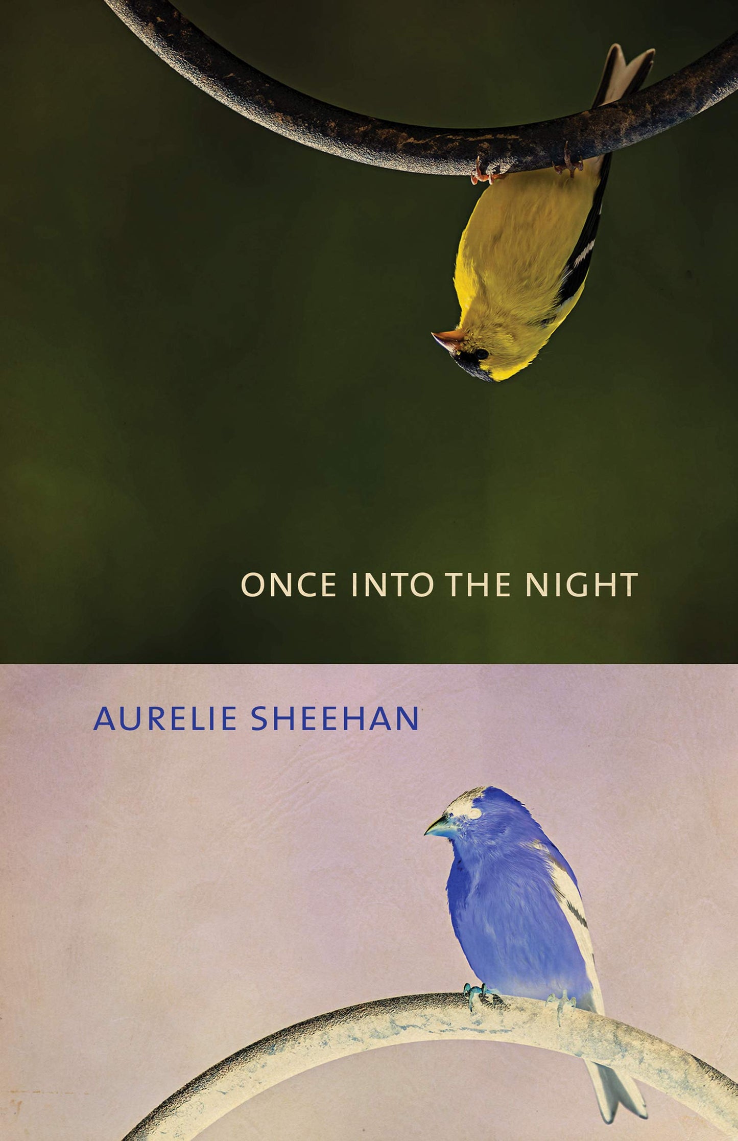 Once Into the Night book cover