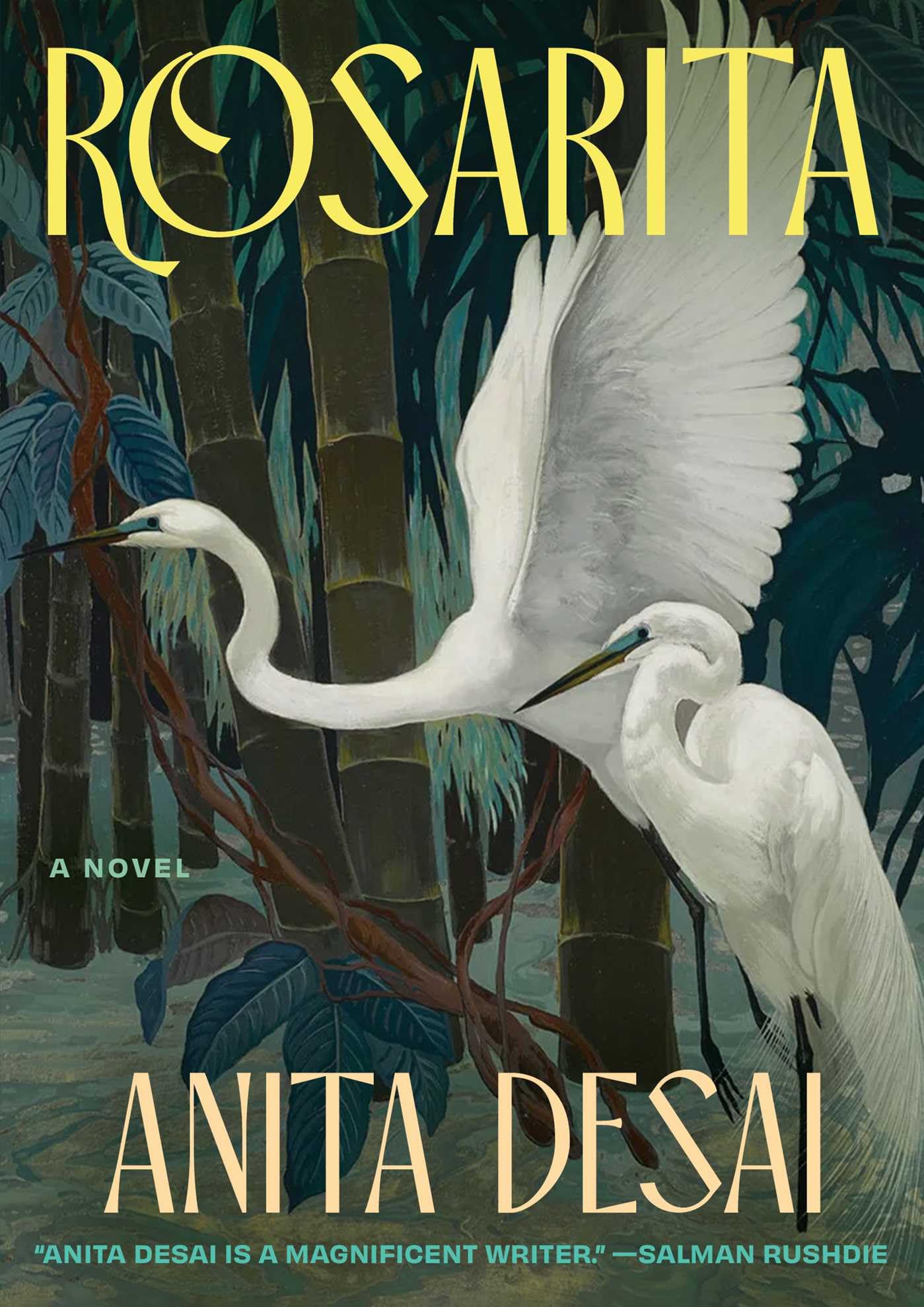 Rosarita book cover