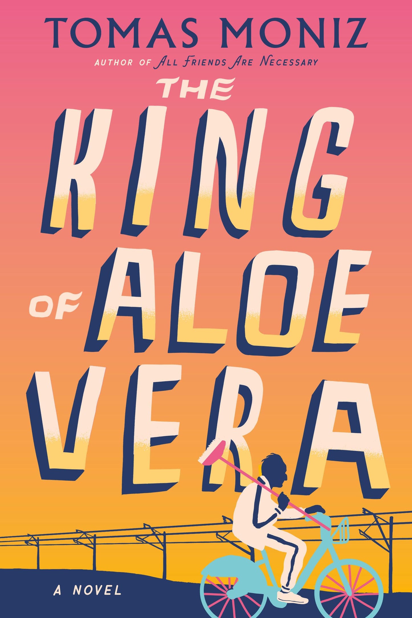 The King of Aloe Vera book cover
