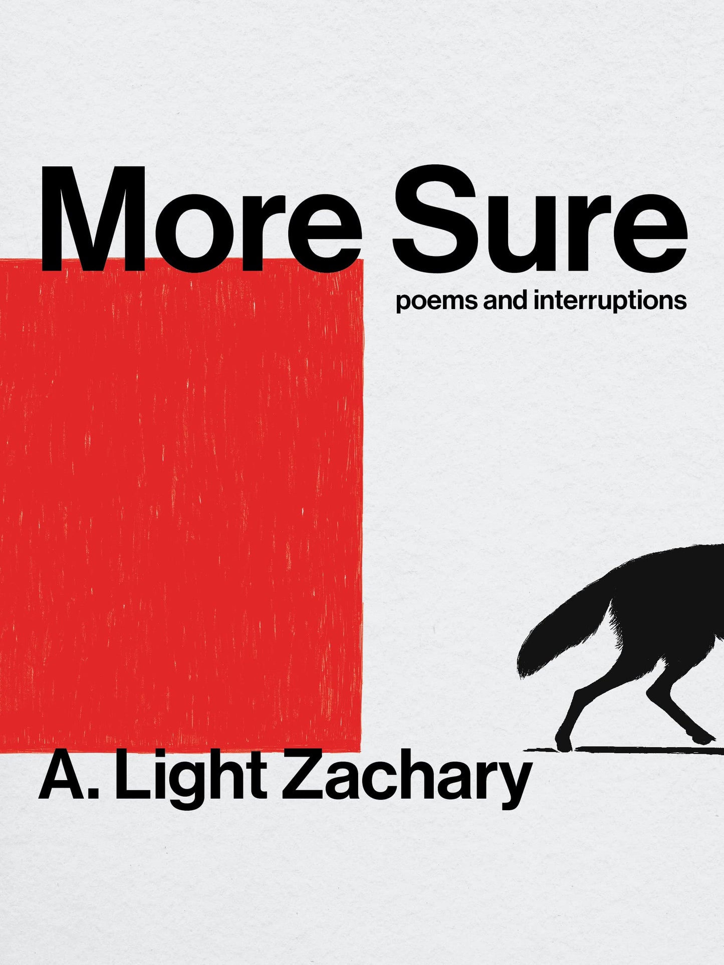 More Sure book cover