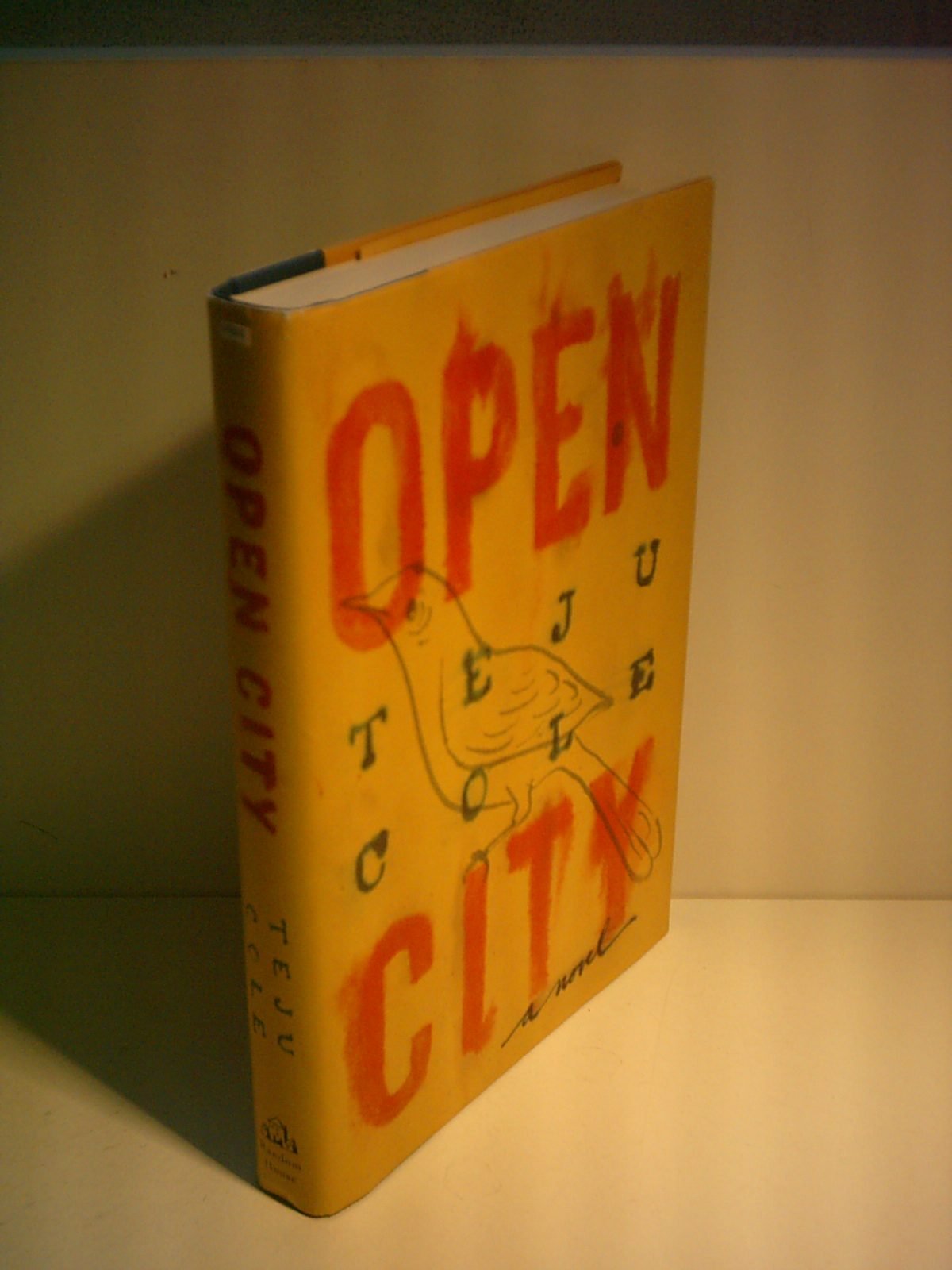 Open City book cover