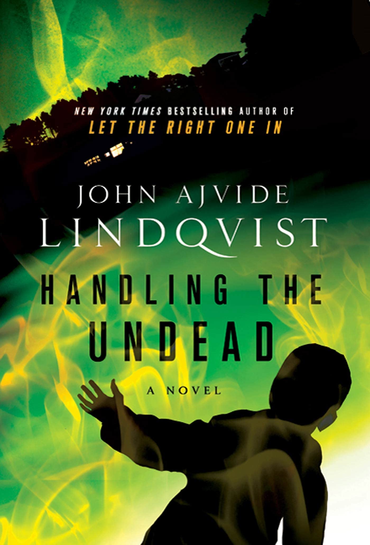 Handling the Undead book cover