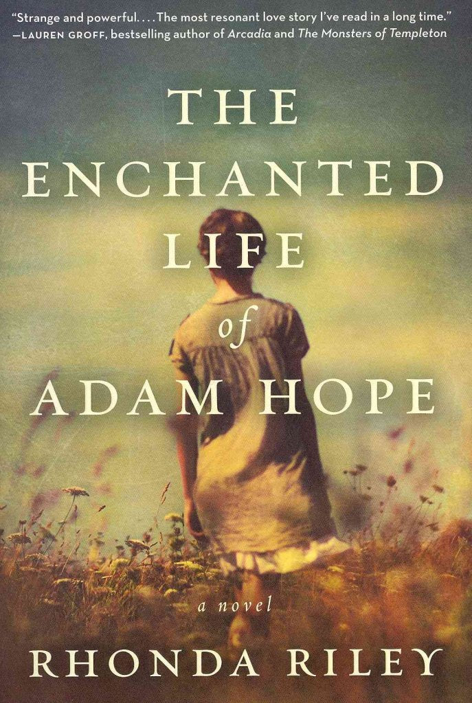 Enchanted Life of Adam Hope book cover