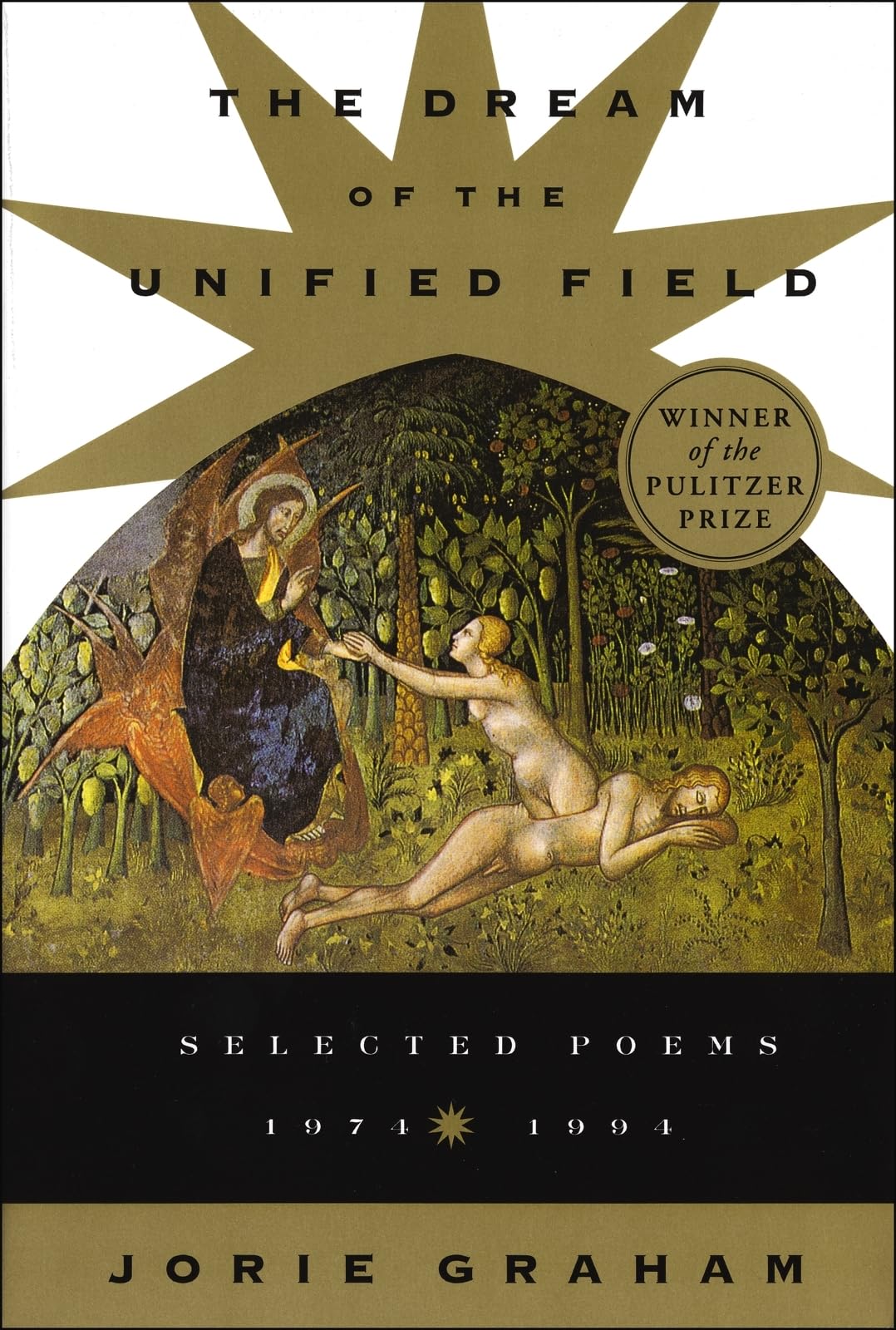 Dream Of The Unified Field book cover
