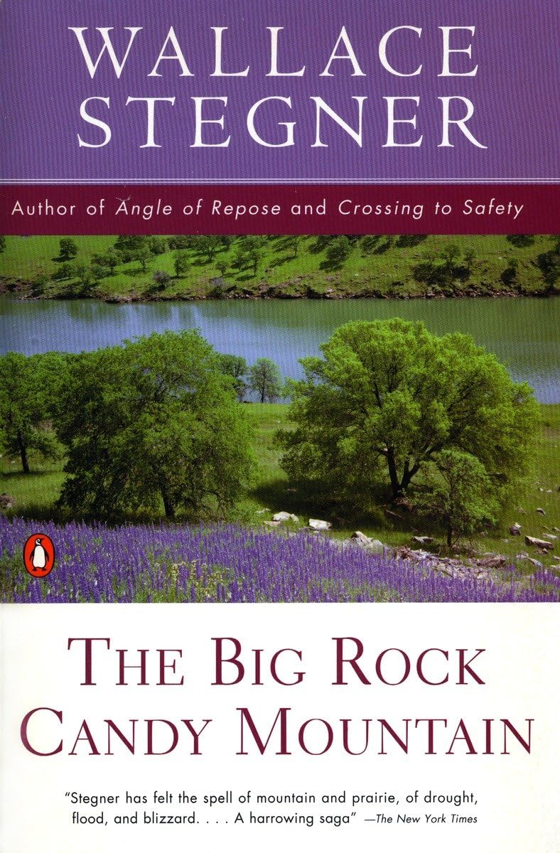 The Big Rock Candy Mountain (Contemporary American Fiction) book cover