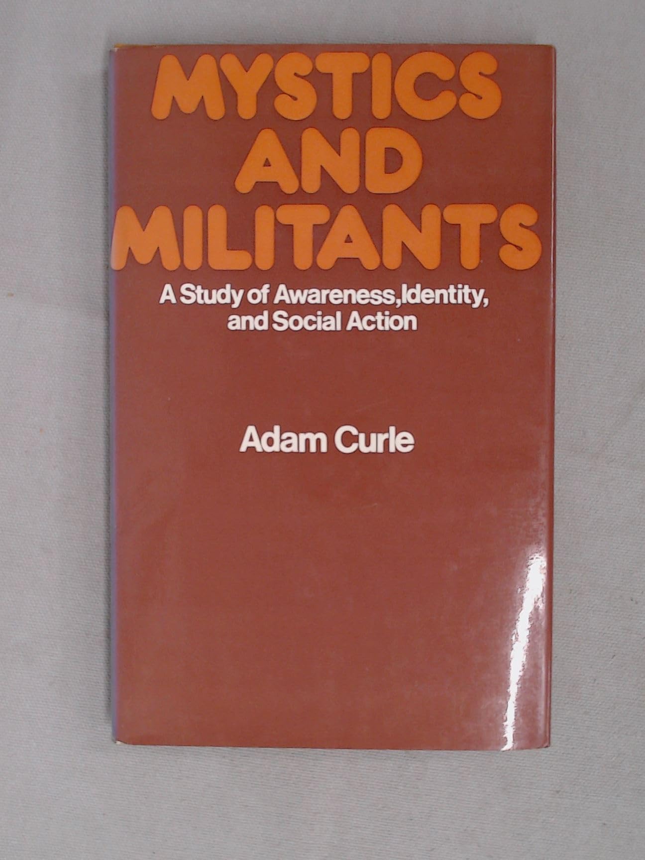 Mystics and militants: A study of awareness, identity and social action book cover