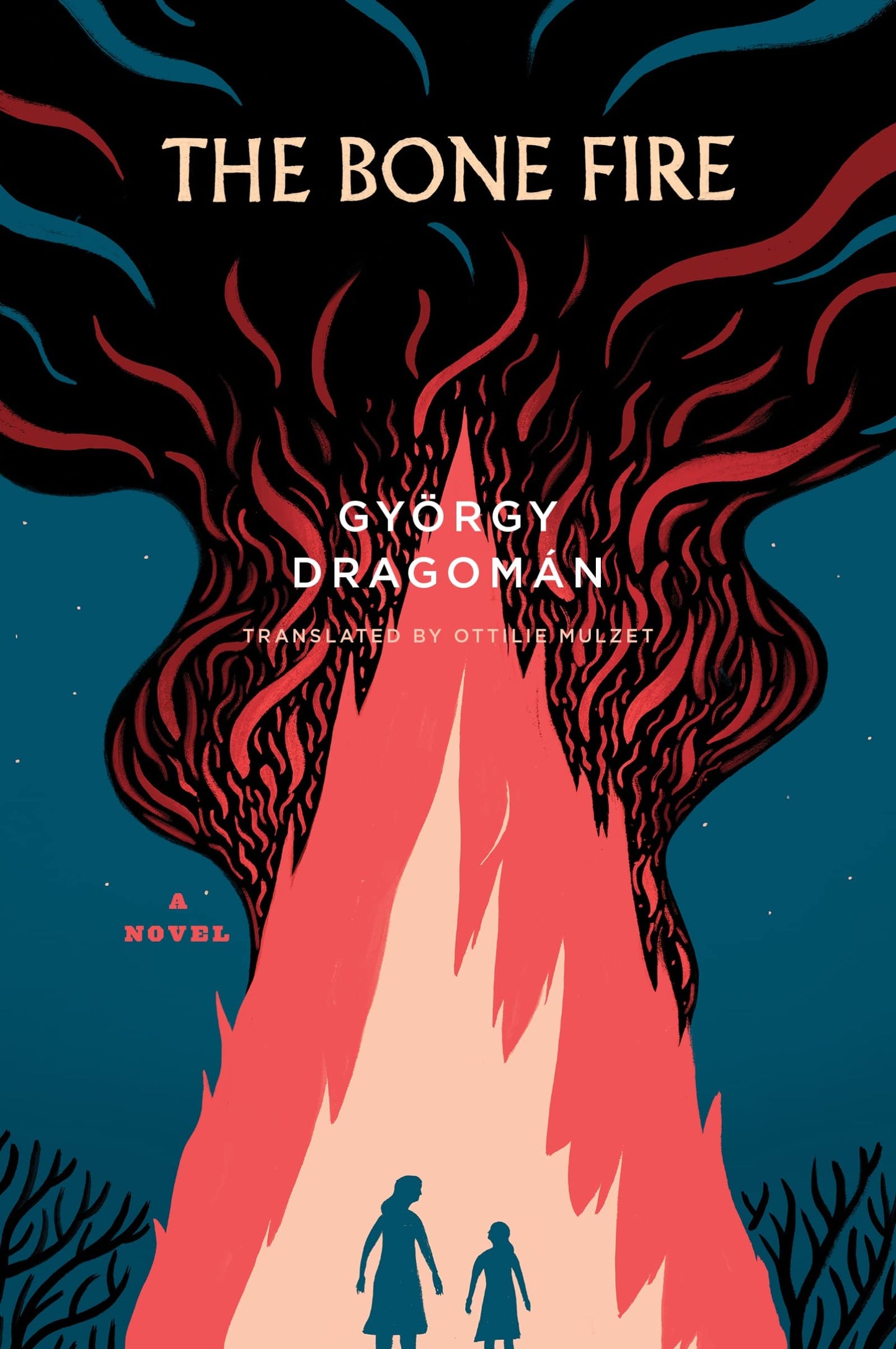 Bone Fire book cover