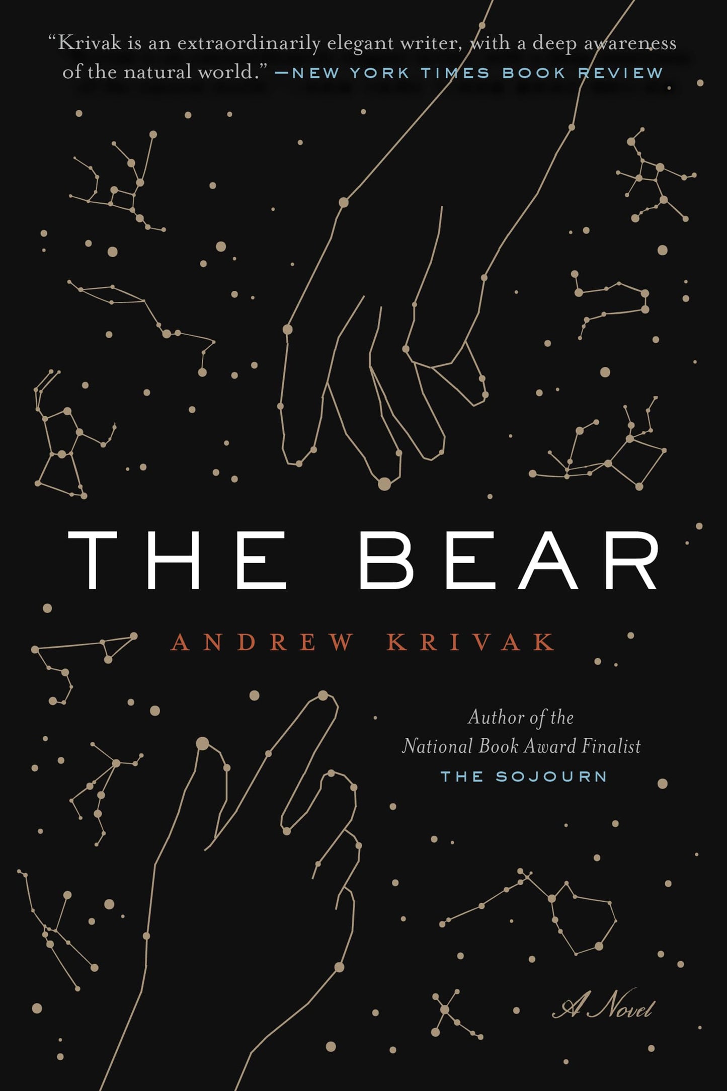 Bear book cover