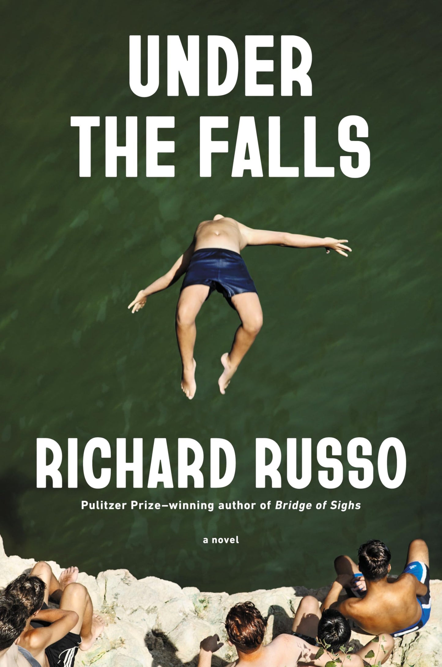 Under the Falls book cover