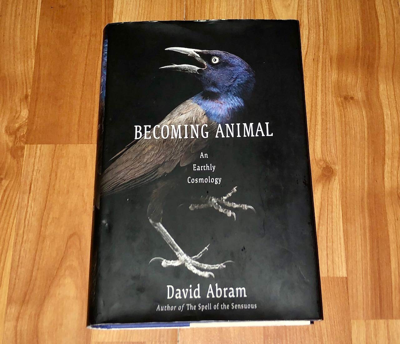 Becoming Animal: An Earthly Cosmology book cover