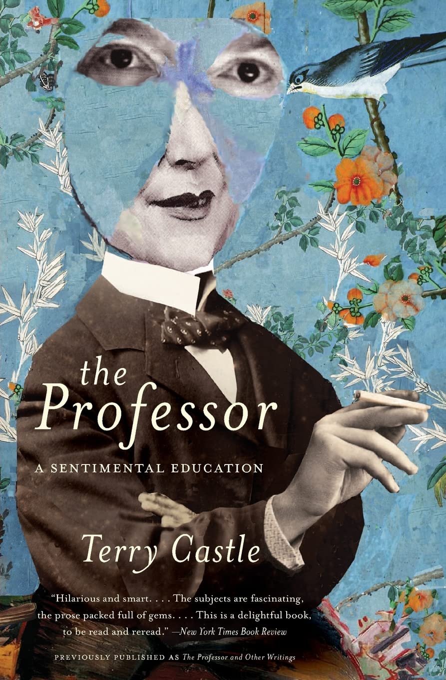 Professor: A Sentimental Education book cover