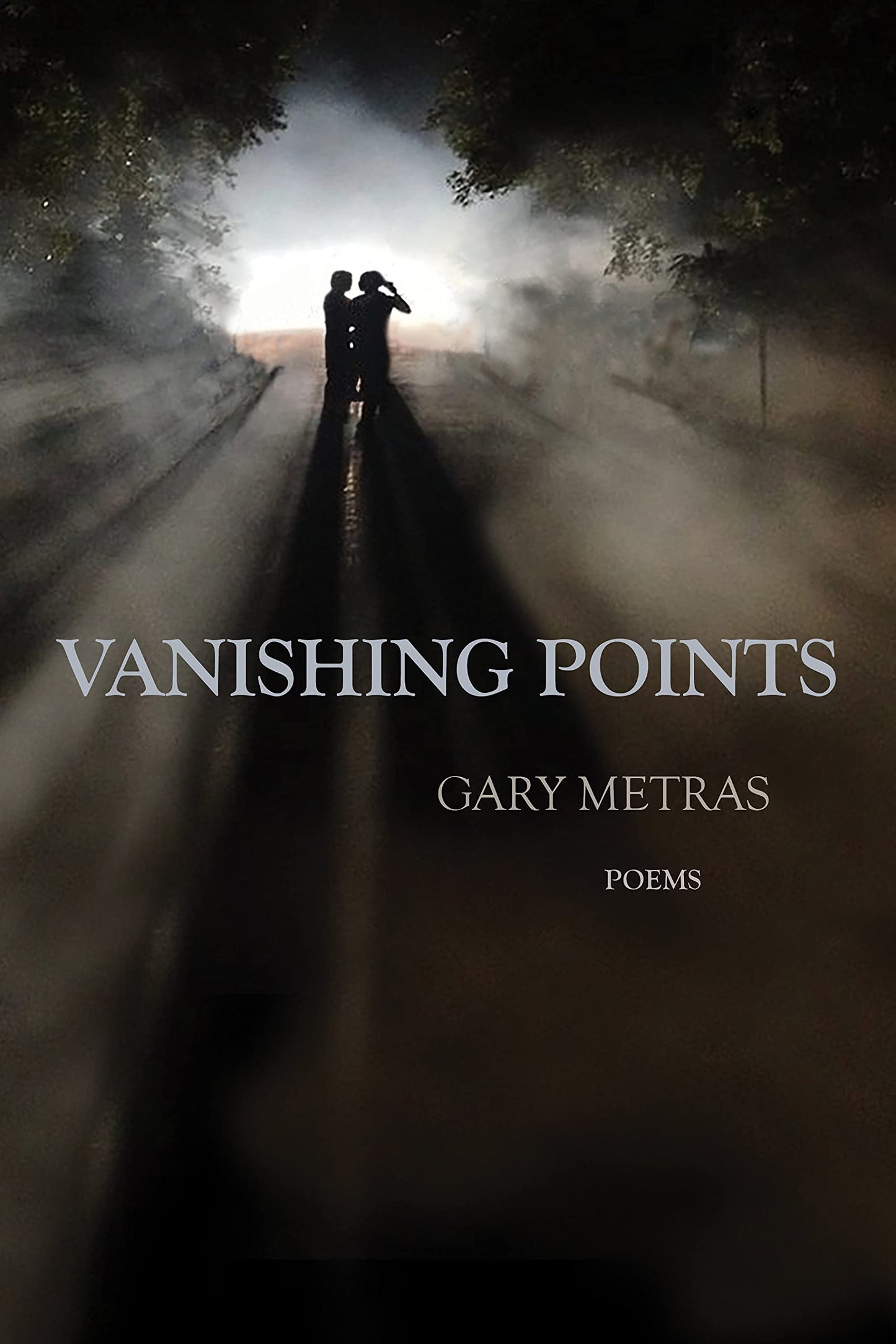 Vanishing Points book cover