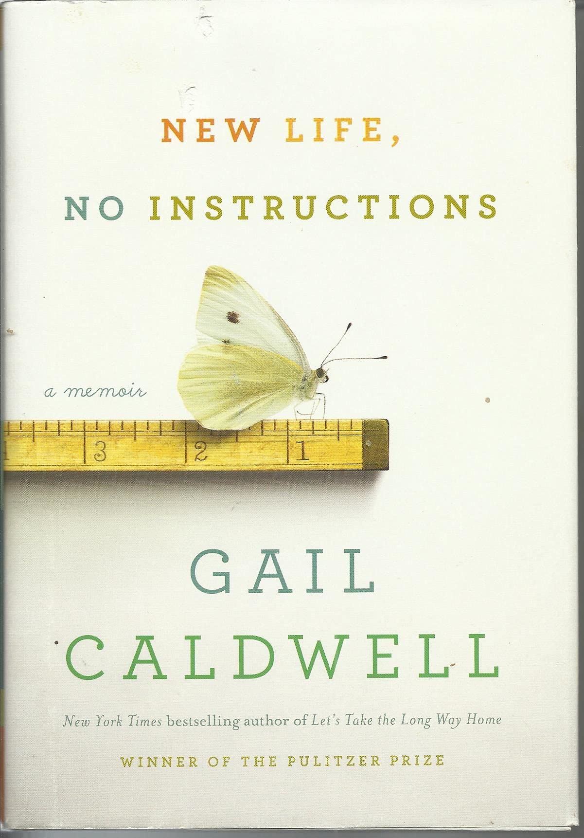New Life, No Instructions book cover