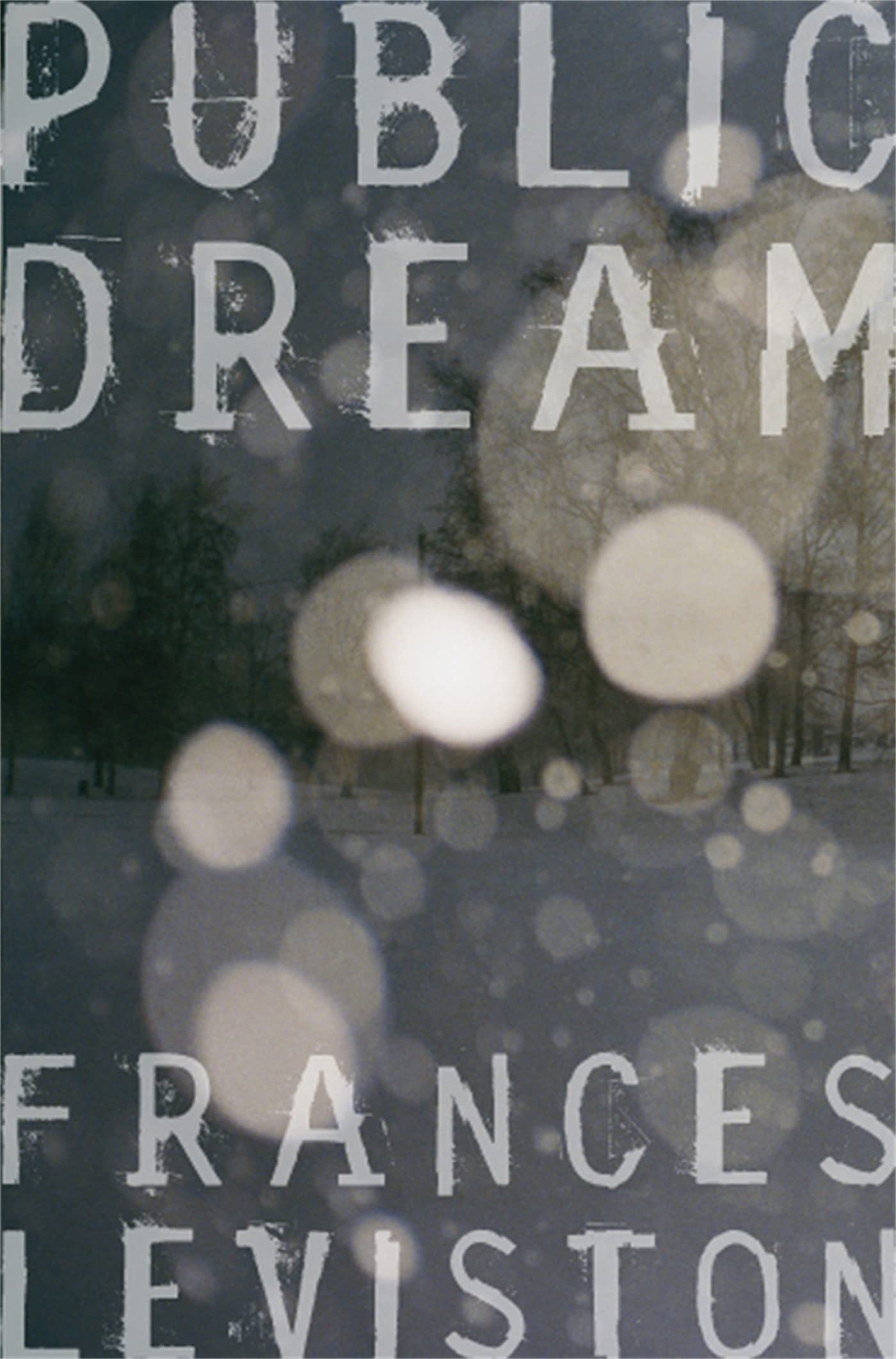 Public Dream book cover