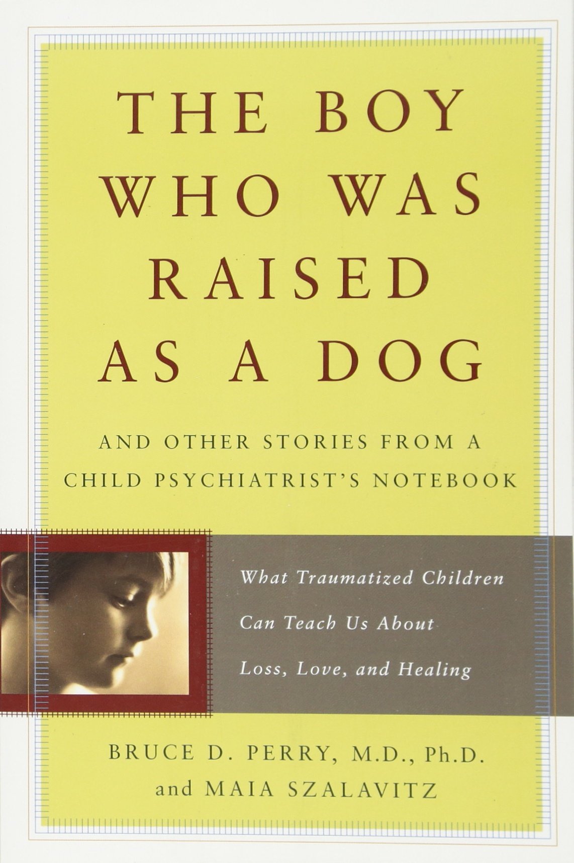 Boy Who Was Raised as a Dog: And Other Stories from a Child Psychiatrist's Notebook -- What Traumatized Children Can Teach Us about Loss, Love, and