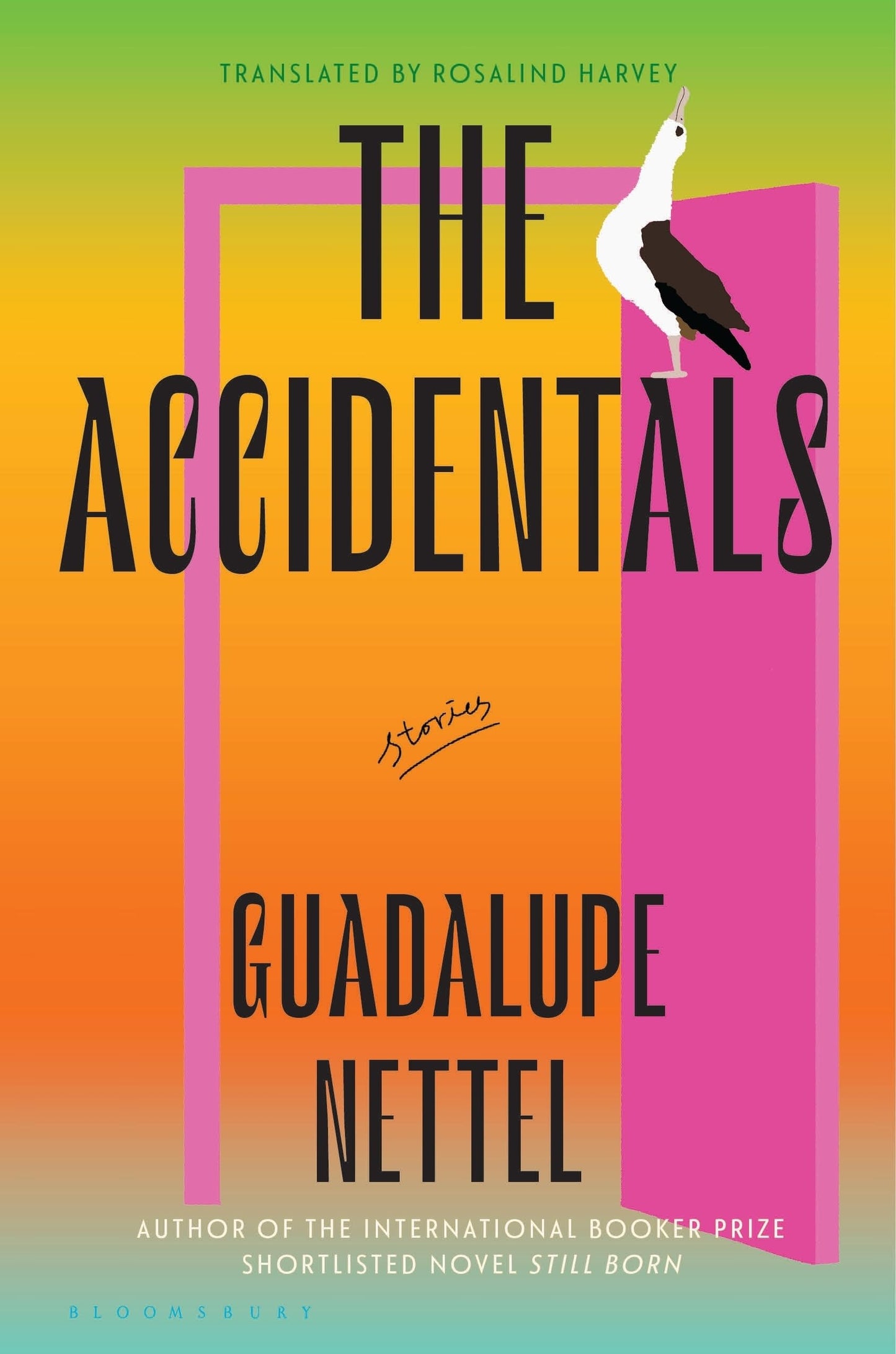 The Accidentals book cover