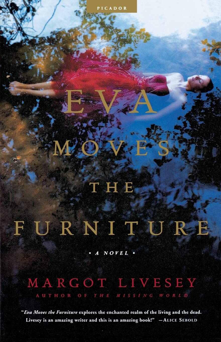 Eva Moves the Furniture book cover