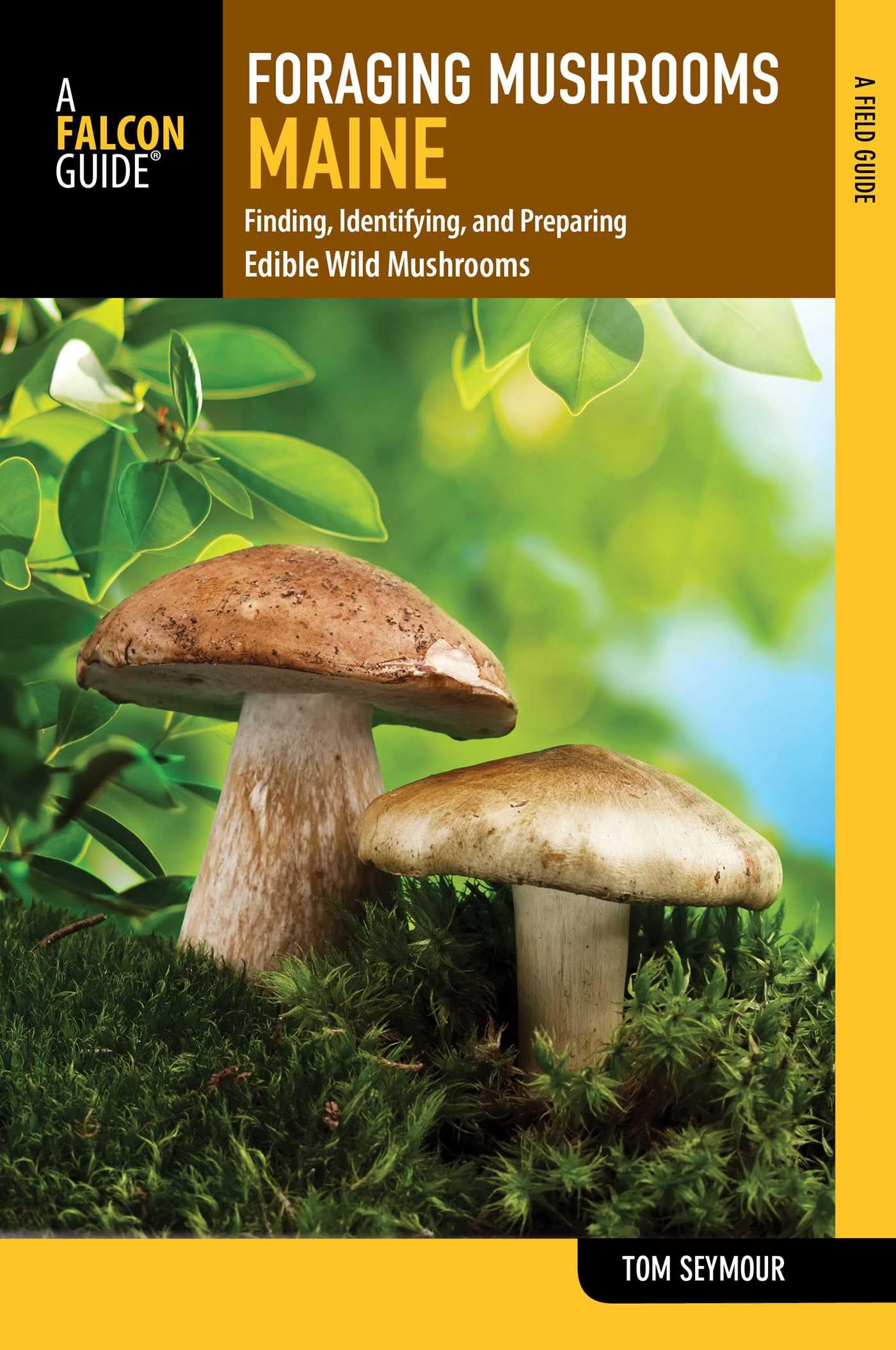Foraging Mushrooms Maine book cover