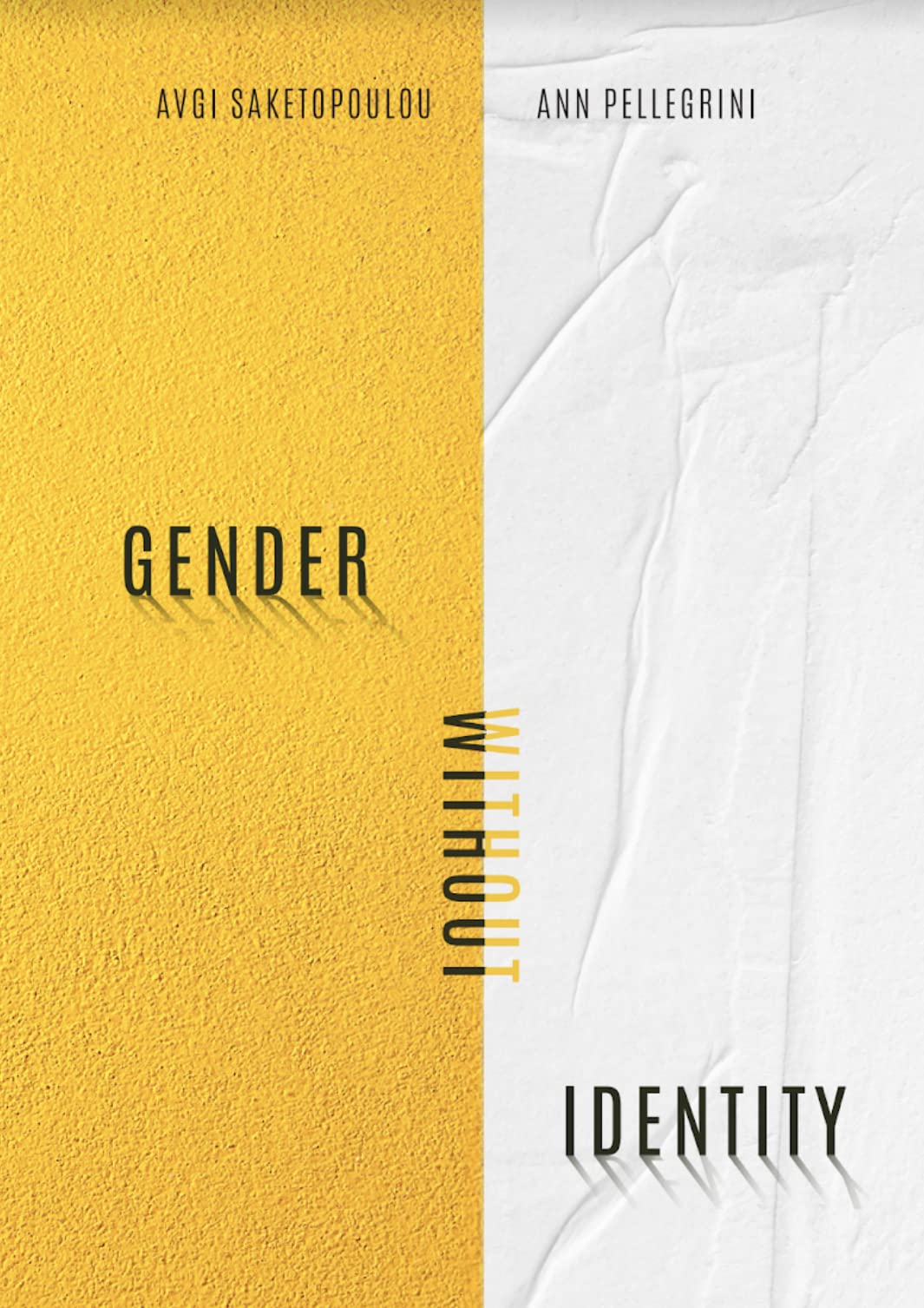 Gender Without Identity book cover