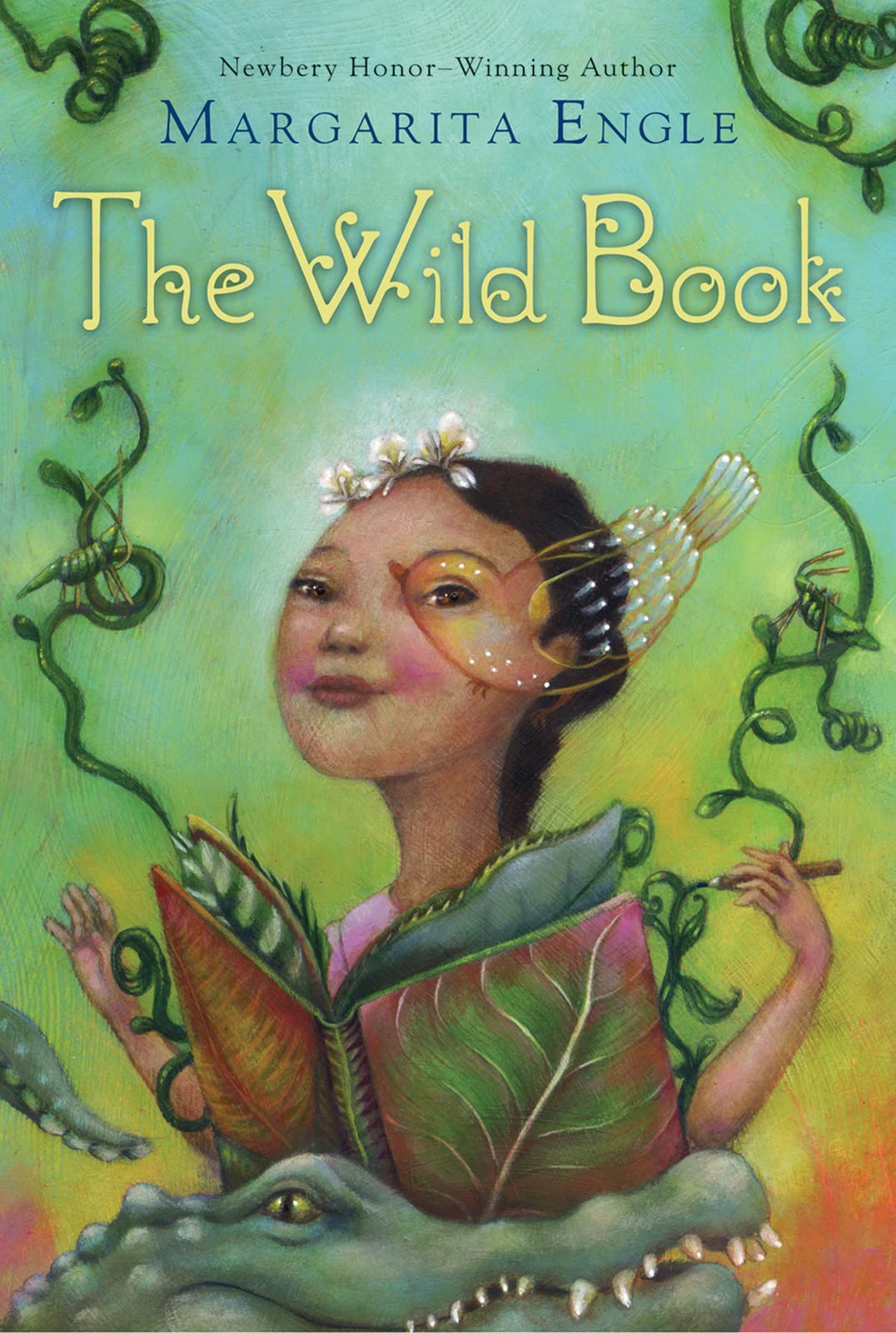 The Wild Book book cover