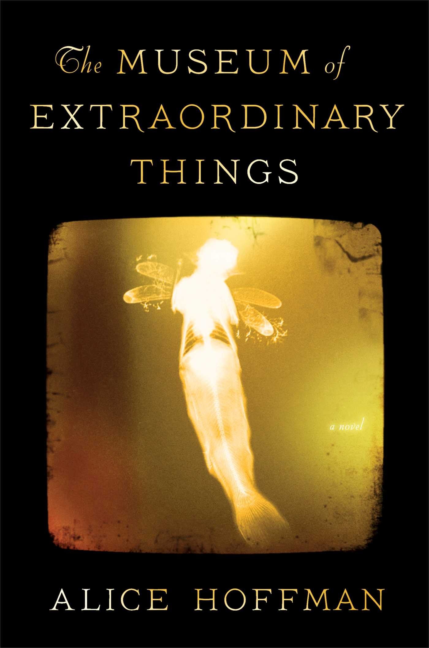 Museum of Extraordinary Things book cover