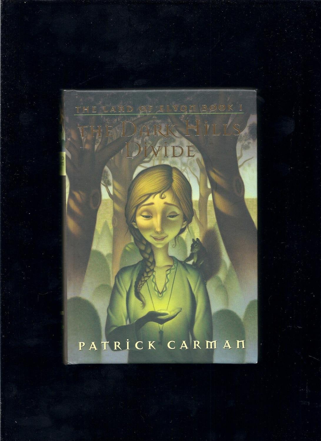 Dark Hills Divide (Orchard Books) book cover