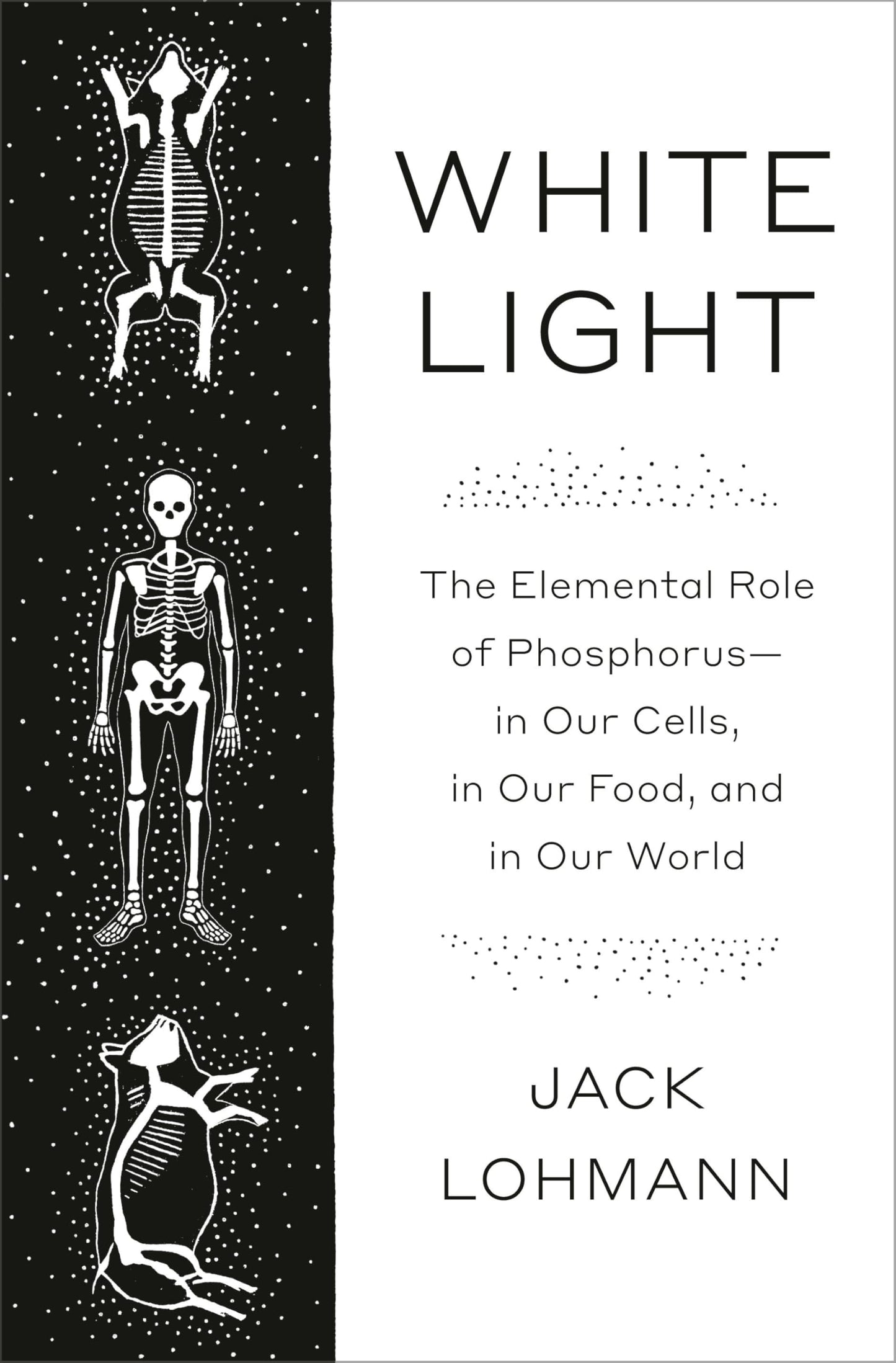 White Light book cover