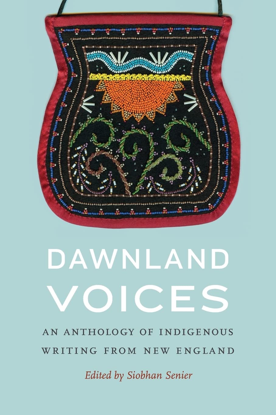 Dawnland Voices: An Anthology of Indigenous Writing from New England book cover