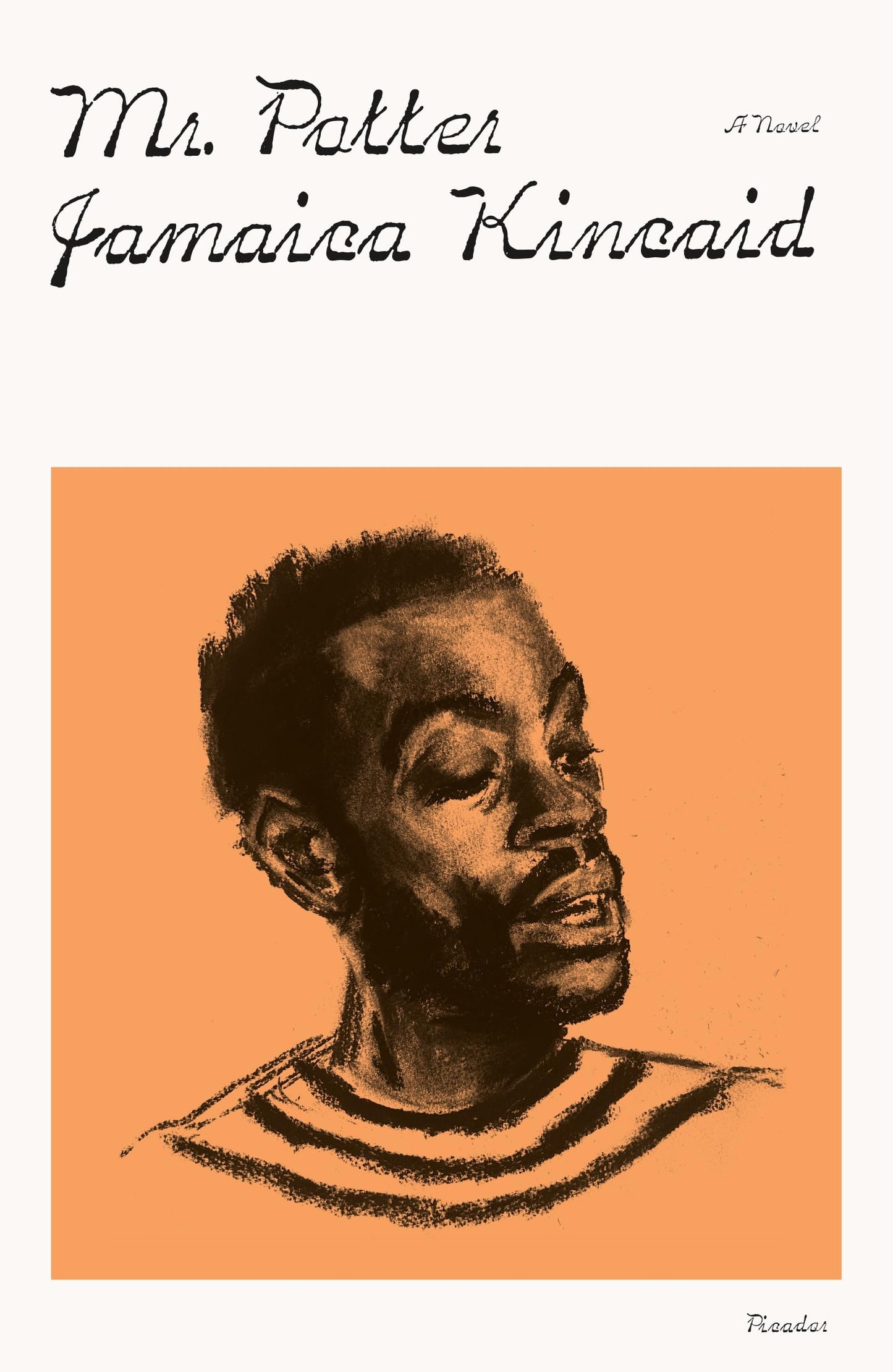 Mr. Potter book cover