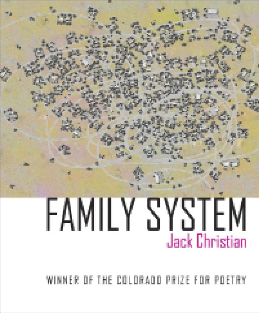 Family System book cover