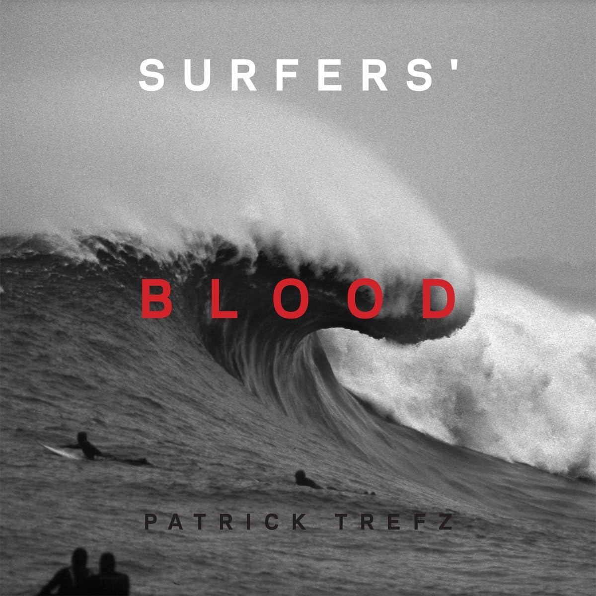 Surfers' Blood book cover