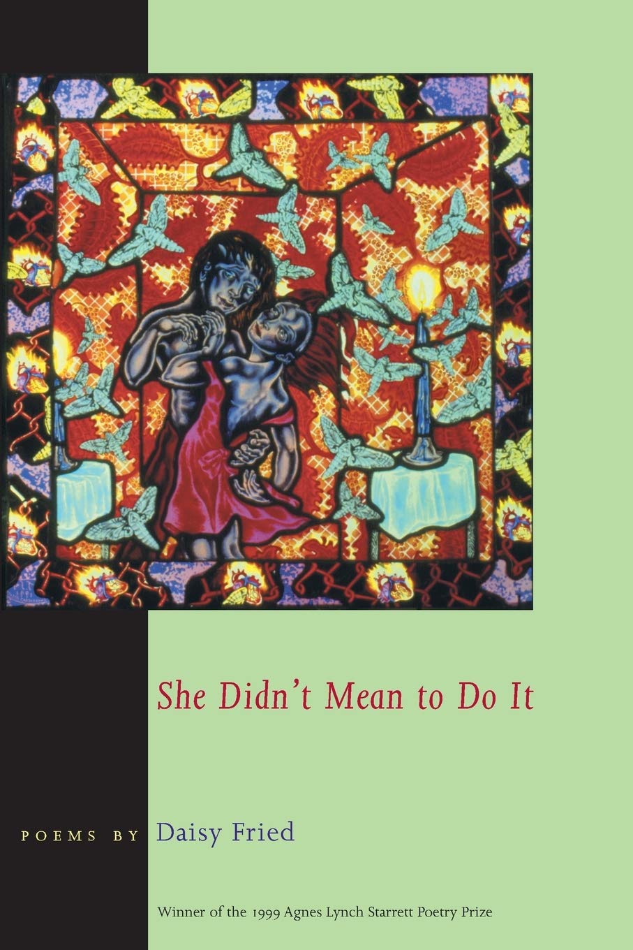 She Didn't Mean To Do It book cover