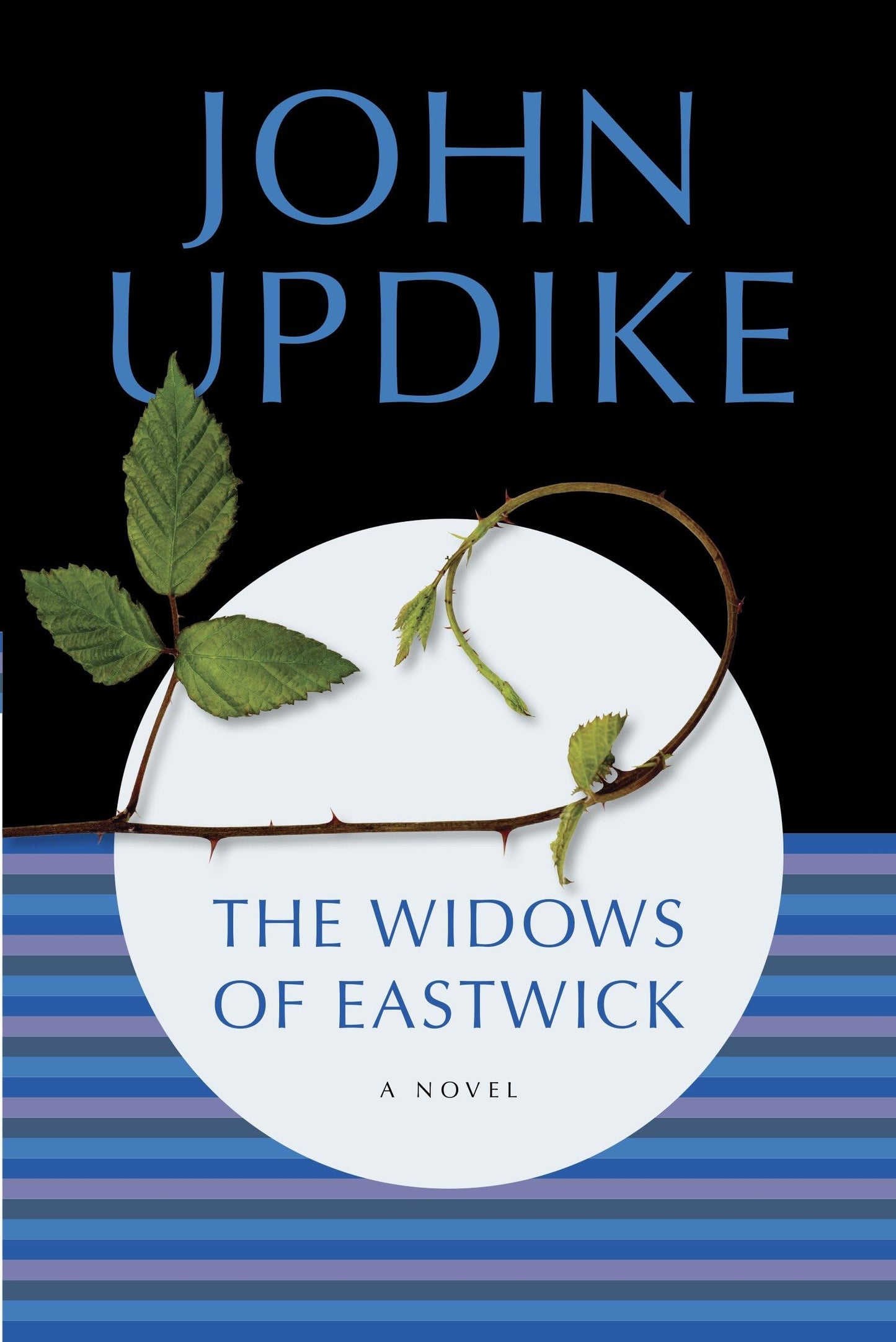 Widows of Eastwick book cover