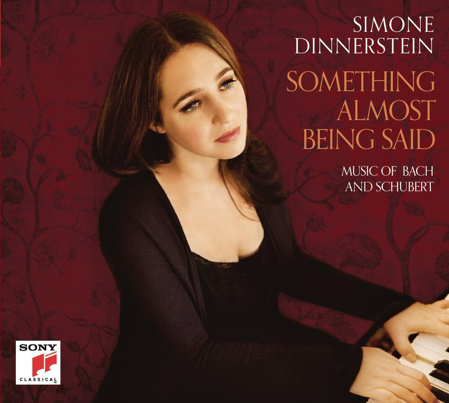 Something Almost Being Said: Music of Bach and Schubert book cover