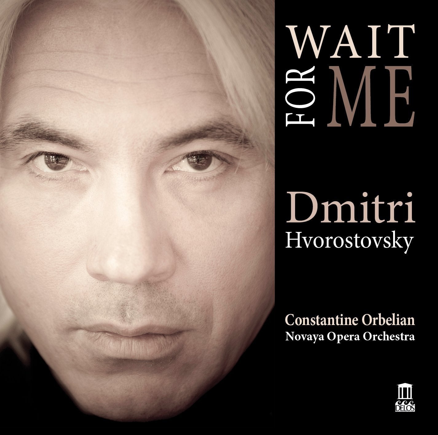 Wait for Me book cover