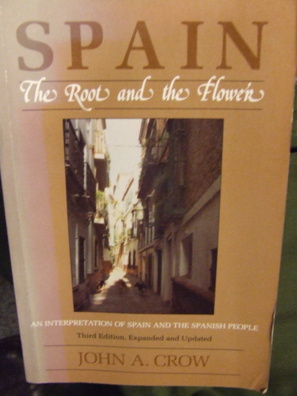 Spain: The Root and the Flower: An Interpretation of Spain and the Spanish People (Expanded and Updated) book cover