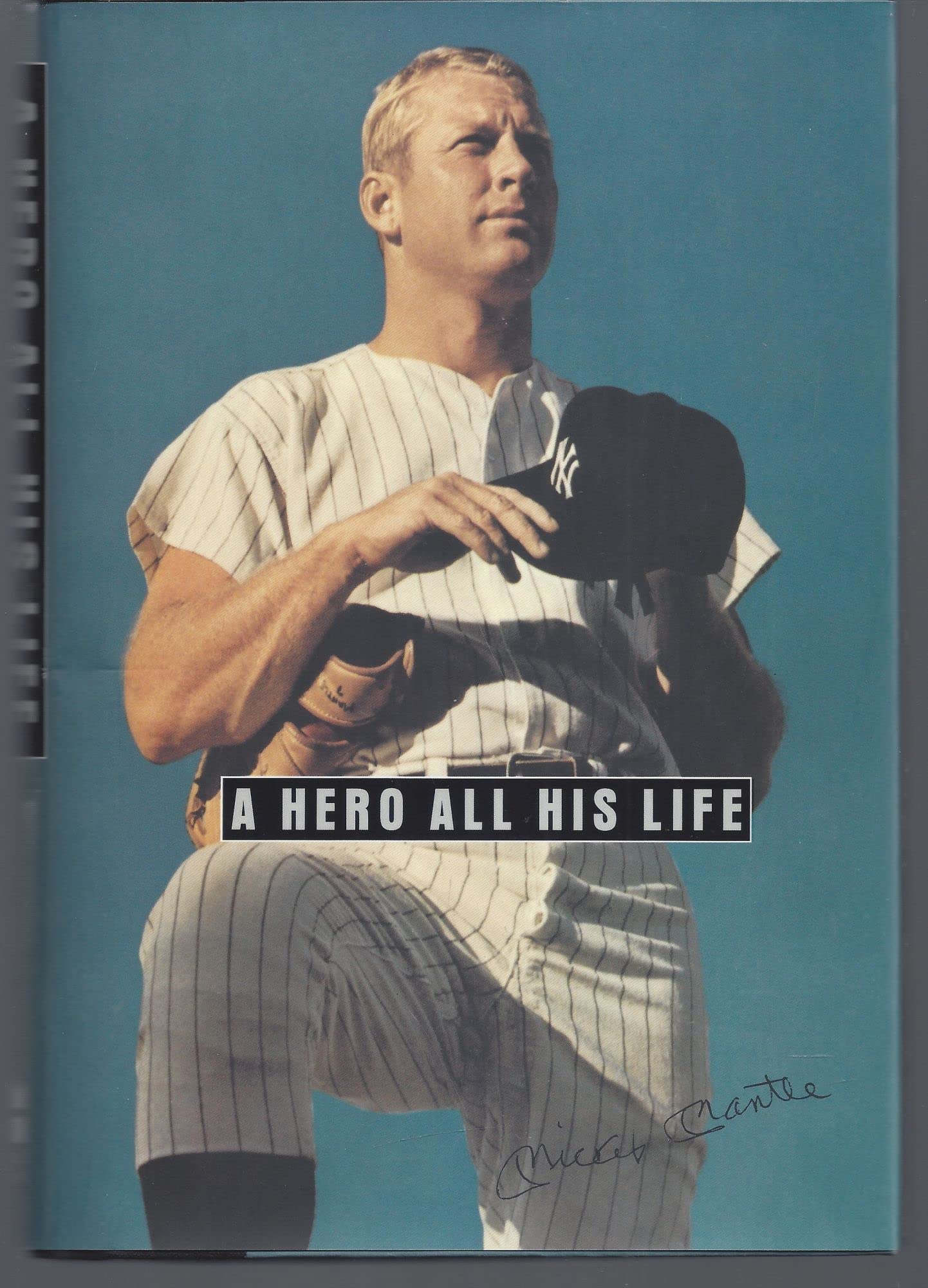 Hero All His Life book cover
