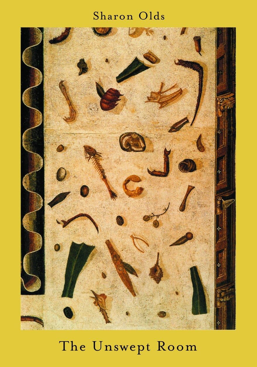 Unswept Room book cover