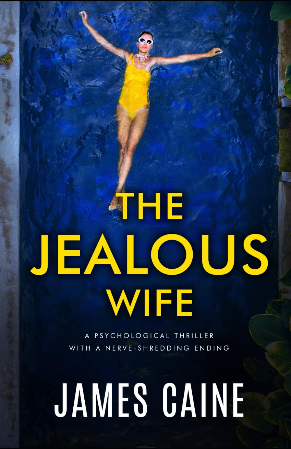 Jealous Wife: A psychological thriller with a nerve-shredding ending