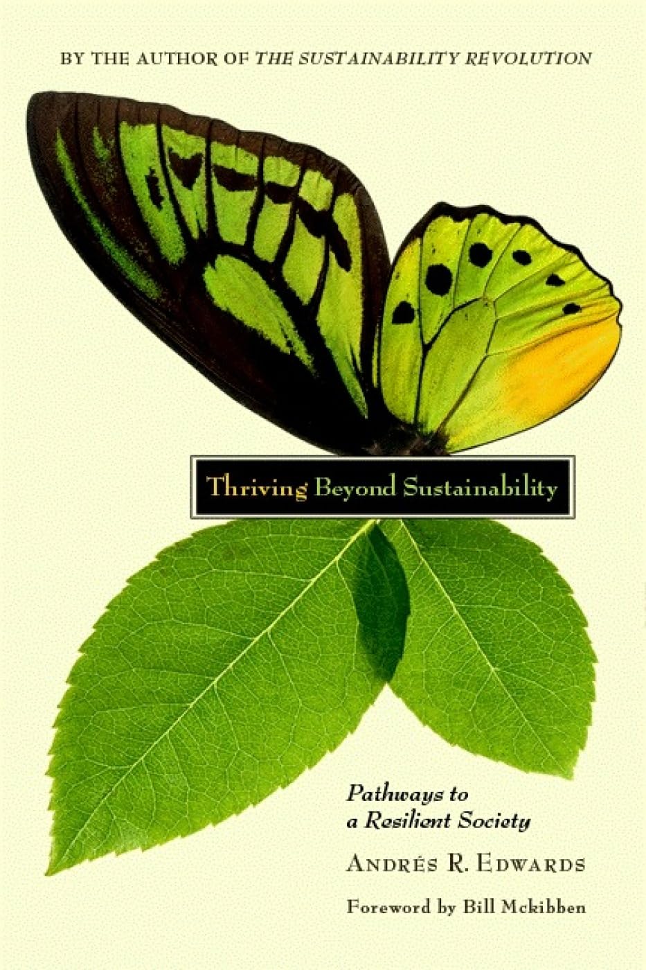 Thriving Beyond Sustainability: Pathways to a Resilient Society book cover