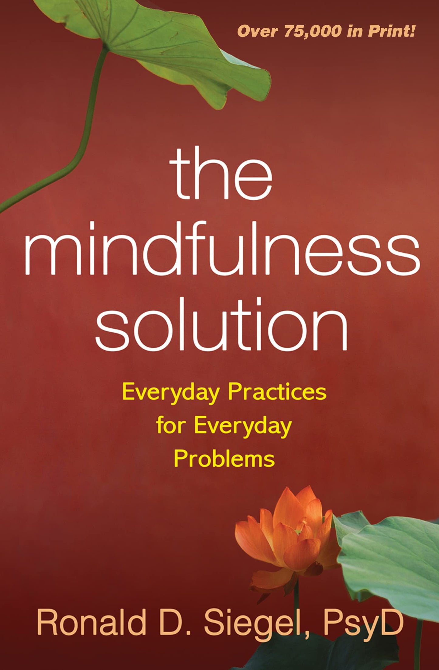 Mindfulness Solution: Everyday Practices for Everyday Problems book cover