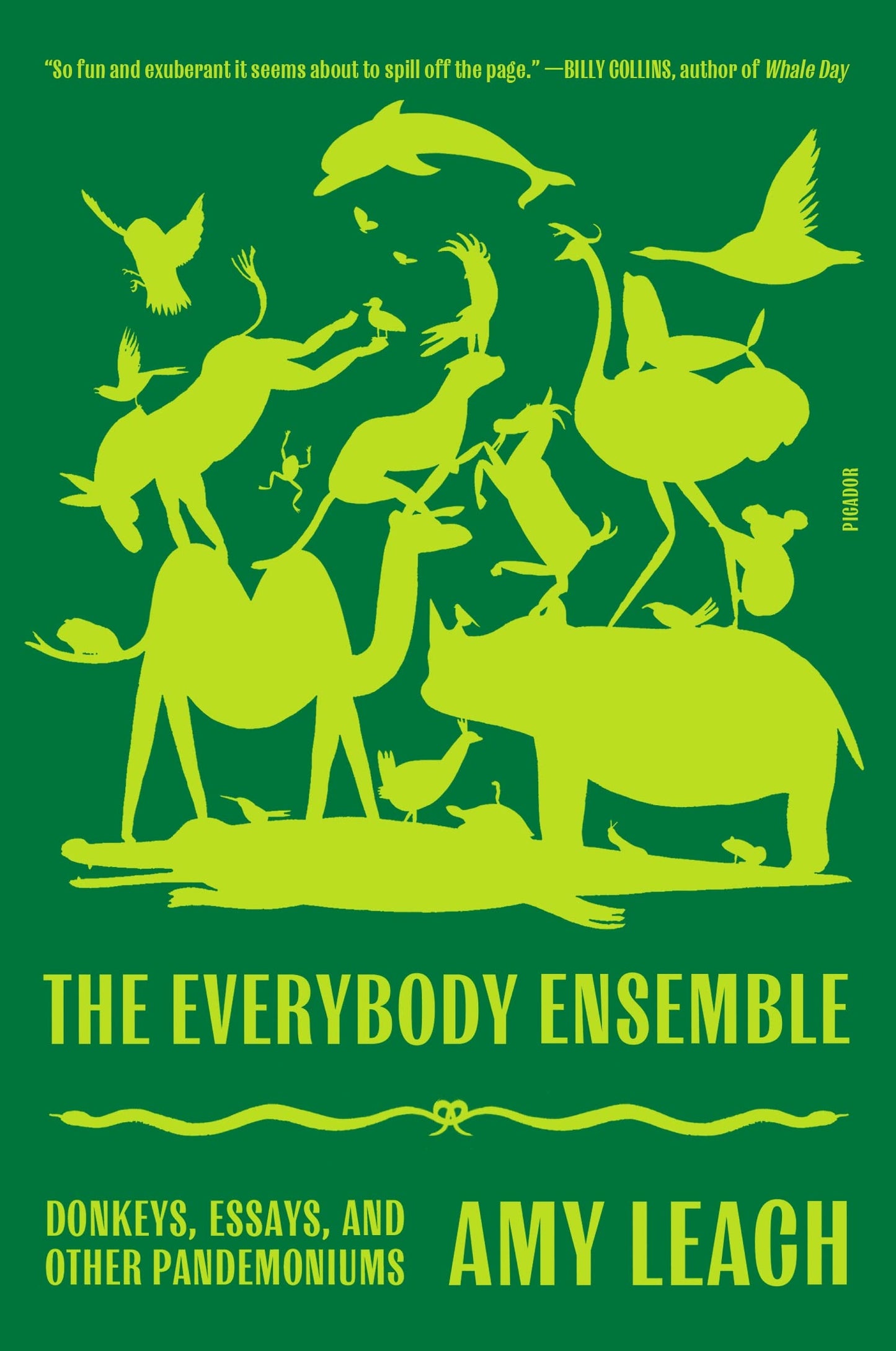 Everybody Ensemble: Donkeys, Essays, and Other Pandemoniums book cover