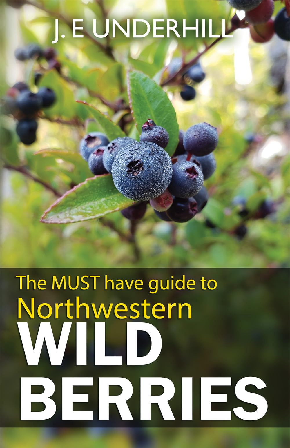 Guide to Northwestern Wild Berries (2018 Reprint) book cover