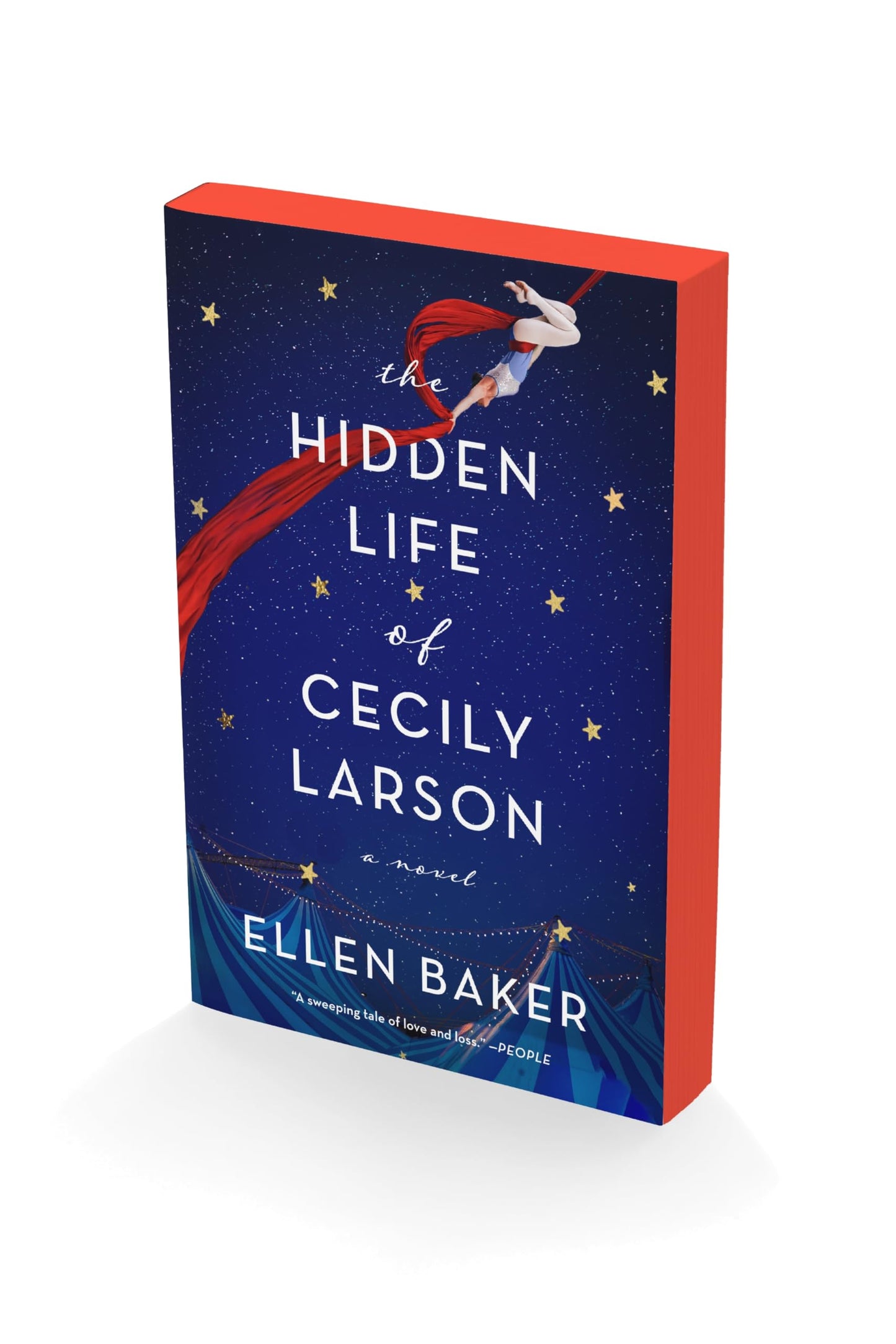 Hidden Life of Cecily Larson book cover