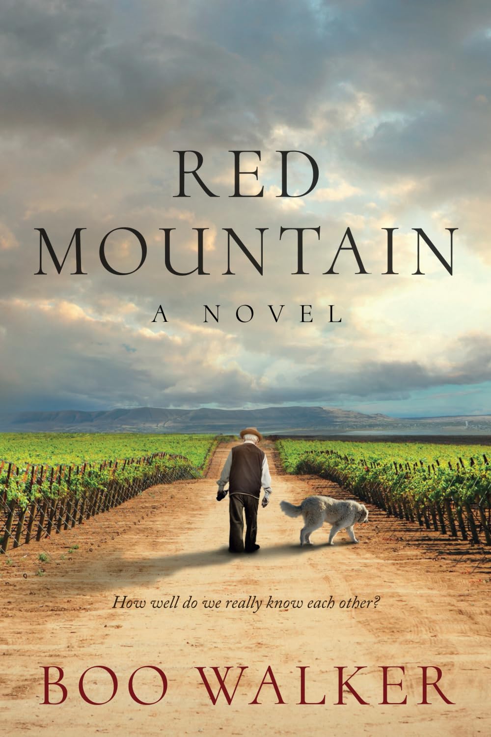 Red Mountain book cover