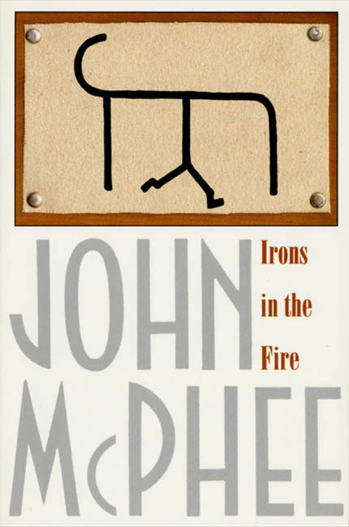Irons in the Fire book cover