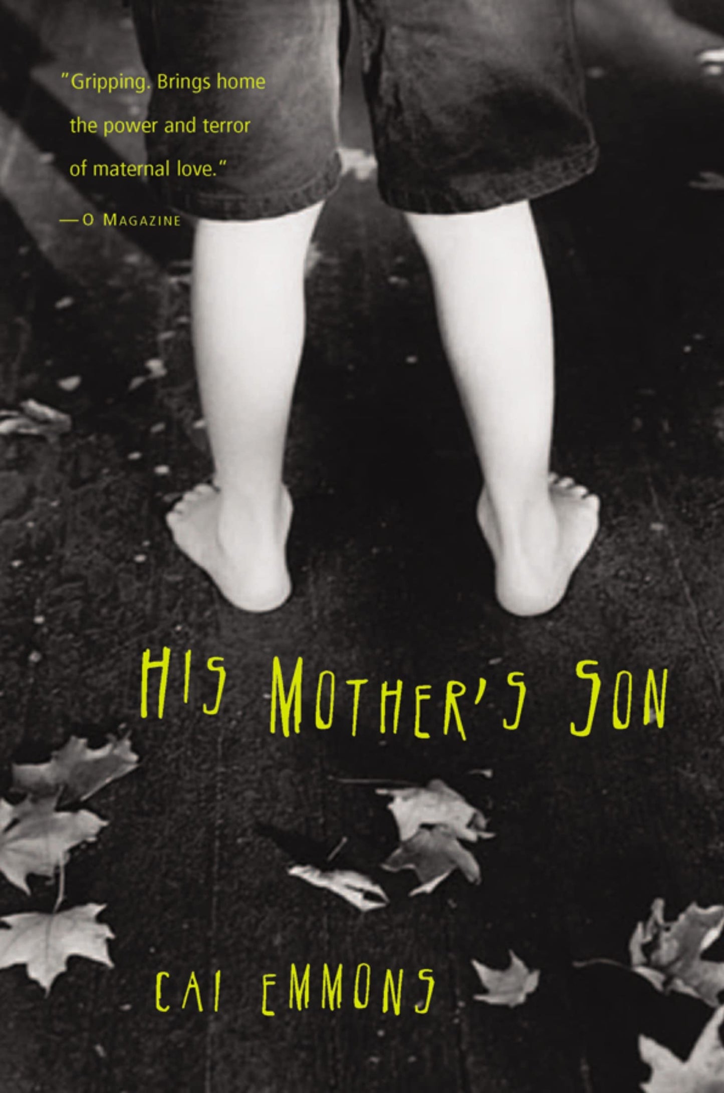 His Mother's Son book cover